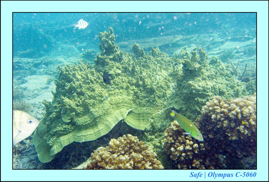 2008 - 07 - Leng Tengah - 107